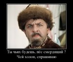 чей.jpg